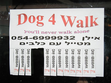 Dogs escort