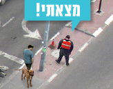 found.gif